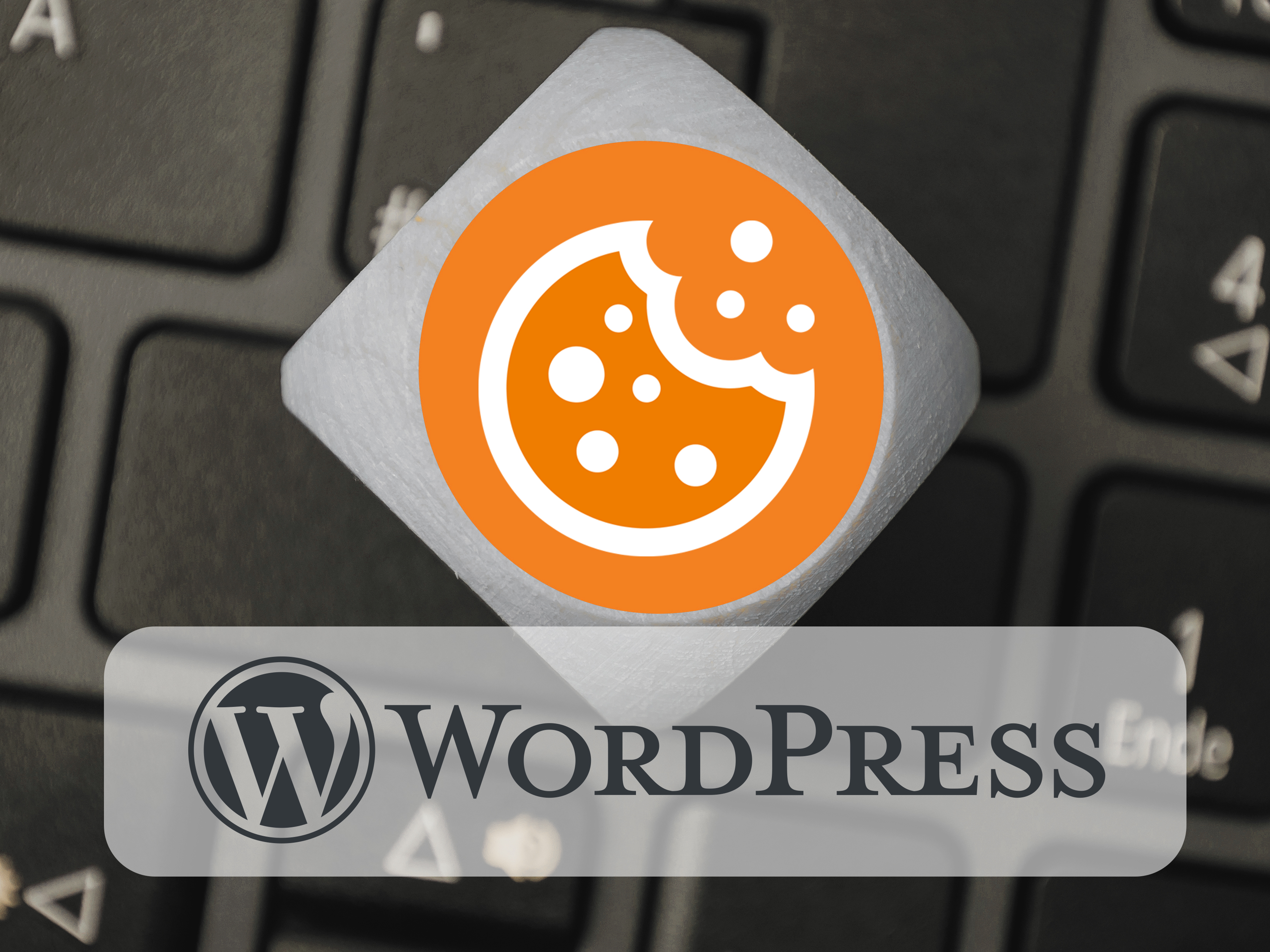 Unser Cookie-Tool: rechtssicher in WordPress einbinden