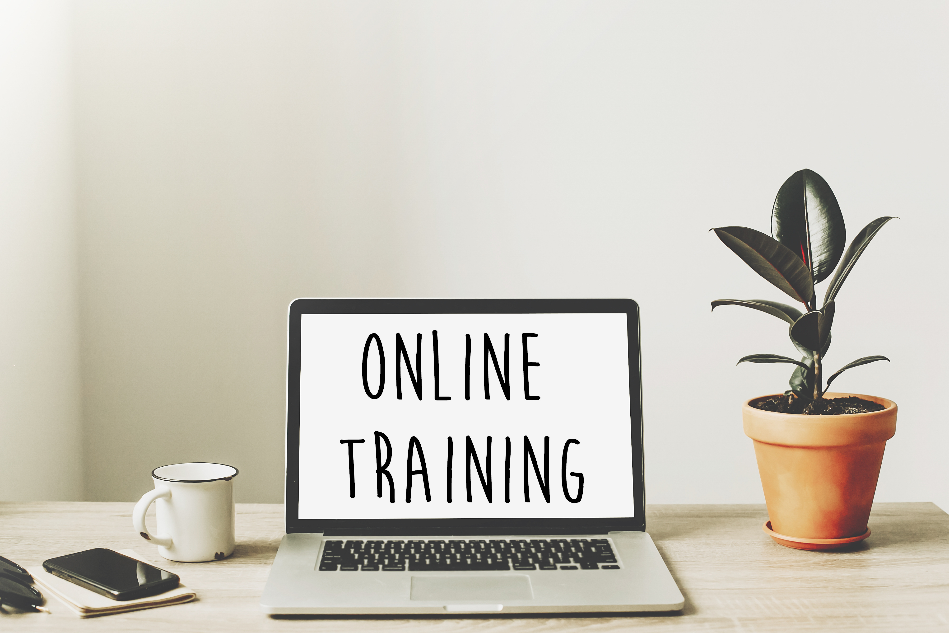 Nach BGH-Urteil: Was müssen Anbieter von Online-Coaching jetzt beachten?