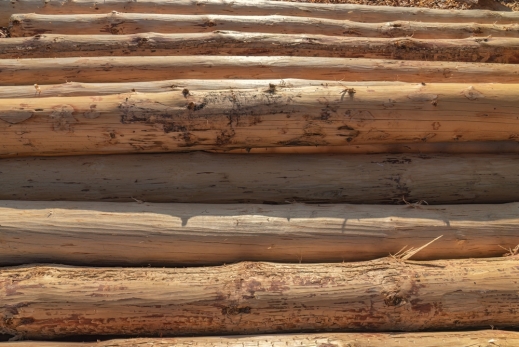 EU-Entwaldungsverordnung: Erneute Verschiebung und Vereinfachung