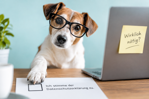 Zustimmung zur Datenschutzerkl&auml;rung: Wirklich erforderlich?