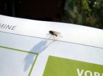 Gruner + Jahr darf weiterhin National Geographic herausgeben