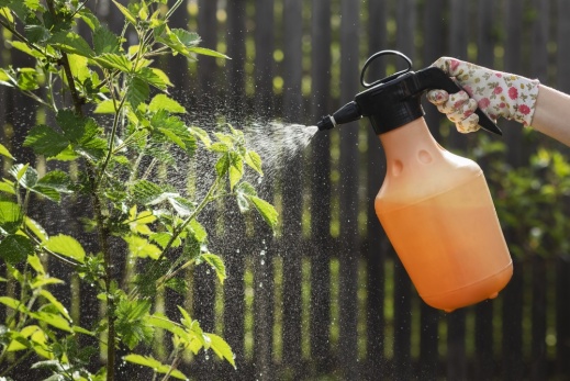 Import von umgef&uuml;llten Pflanzenschutzmitteln: aus dem EU-Ausland