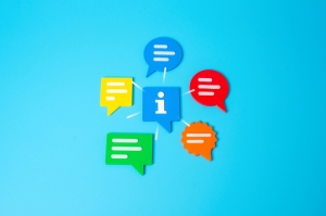 IT-Beschaffung: Die Bewerbungsbedingungen: Hinweise und Muster zur Angebotserstellung f&uuml;r den Bieter in den Bewerbungsbedingungen