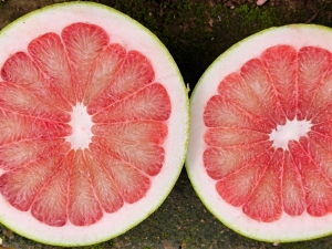 Des Obstes Kern? Abmahnungen im Zusammenhang mit Grapefruitkernextrakten