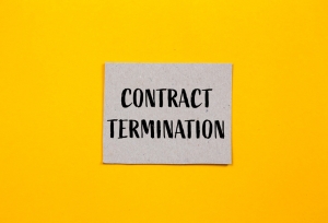 Zahlungsverzug bei Webhosting: Sperre der Internetpr&auml;senz und sofortige K&uuml;ndigung?