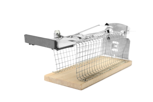 Verwirkung  von Vertragsstrafe, obwohl Versto&szlig; nicht selbst begangen?