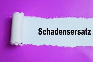 Gewährleistungsrecht: Die Verpflichtung des Verkäufers zum Schadensersatz