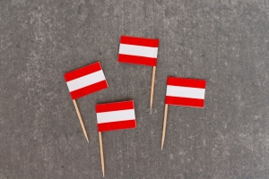 Elektroger&auml;te ins EU-Ausland verkaufen: Neue Abmahnrisiken aus &Ouml;sterreich