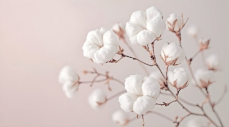 BGH-Urteil zur Textilkennzeichnung: Wann "Cotton" erlaubt ist und "Acrylic" nicht