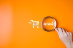 Für Agenturen: AGB für Webshop-Vermietung inkl. Hosting (B2B)