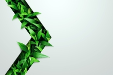 Marko Aliaksandr / shutterstock.com Werbung mit Bio-Begriffen und -Siegeln: Was ist zu beachten?