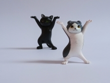 Werberecht Social Media: Dürfen Memes zur Werbung genutzt werden?